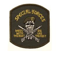 ECUSSON / PATCH TISSU THERMOCOLLANT BRODE SPECIAL FORCES SKULL AVEC BERET VERT