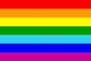 DRAPEAU FLAG RAINBOW GAY PRIDE ARC EN CIEL 47 X 31 CM  PETIT MODELE